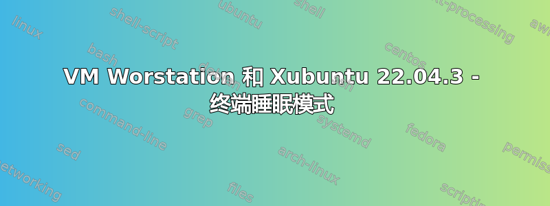 VM Worstation 和 Xubuntu 22.04.3 - 终端睡眠模式