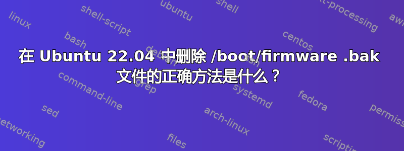 在 Ubuntu 22.04 中删除 /boot/firmware .bak 文件的正确方法是什么？