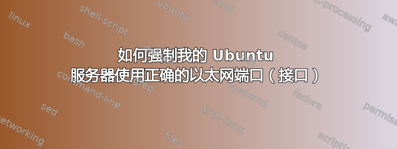 如何强制我的 Ubuntu 服务器使用正确的以太网端口（接口）