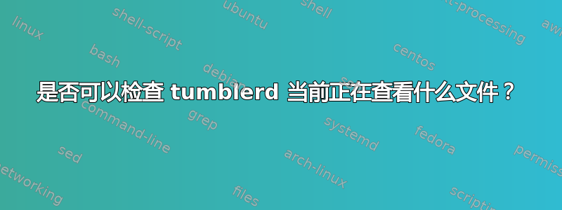 是否可以检查 tumblerd 当前正在查看什么文件？