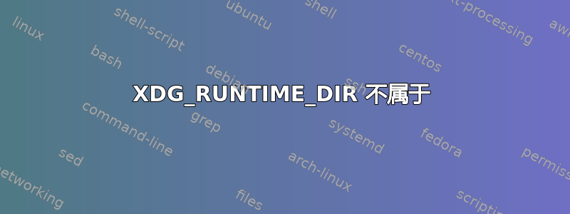 XDG_RUNTIME_DIR 不属于