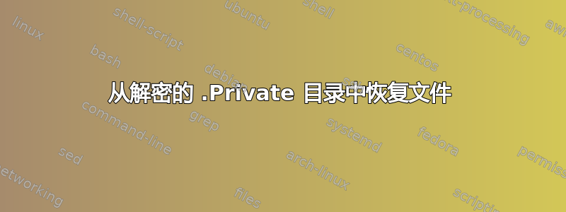 从解密的 .Private 目录中恢复文件