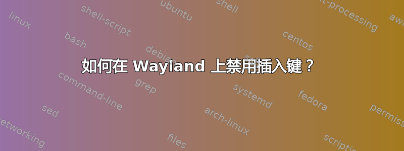 如何在 Wayland 上禁用插入键？