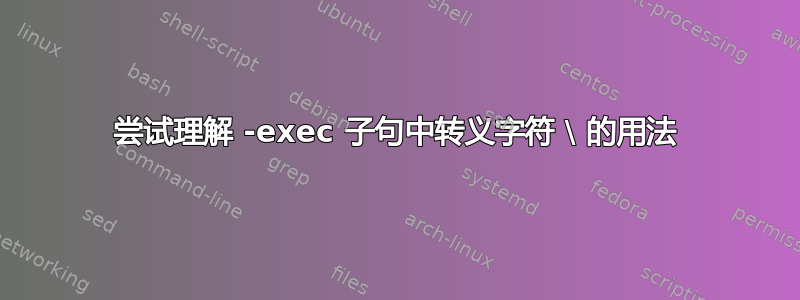 尝试理解 -exec 子句中转义字符 \ 的用法