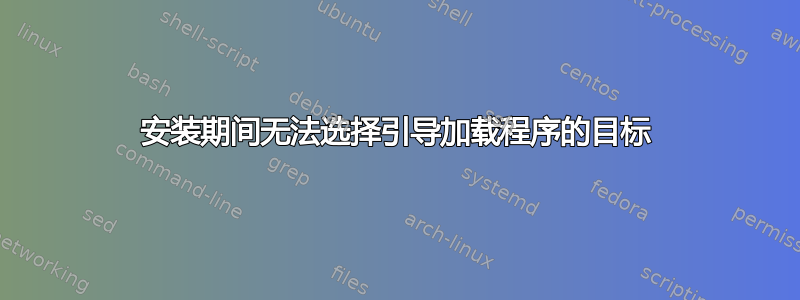 安装期间无法选择引导加载程序的目标