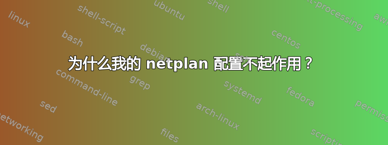 为什么我的 netplan 配置不起作用？