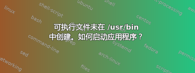 可执行文件未在 /usr/bin 中创建。如何启动应用程序？