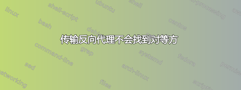 传输反向代理不会找到对等方