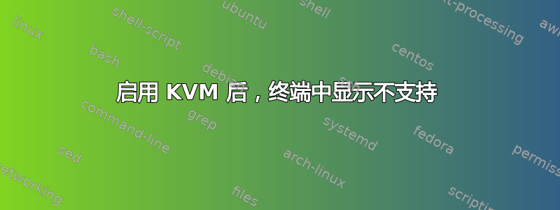 启用 KVM 后，终端中显示不支持