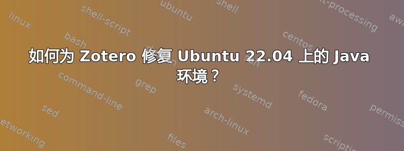 如何为 Zotero 修复 Ubuntu 22.04 上的 Java 环境？