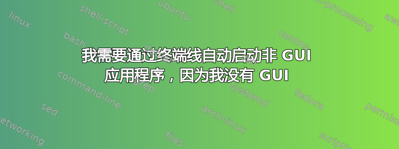 我需要通过终端线自动启动非 GUI 应用程序，因为我没有 GUI