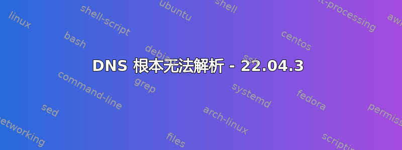 DNS 根本无法解析 - 22.04.3