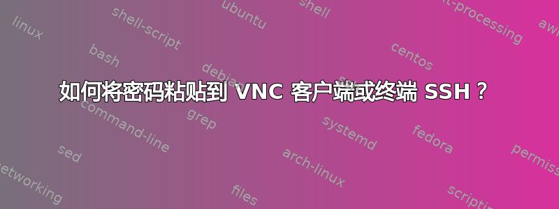 如何将密码粘贴到 VNC 客户端或终端 SSH？