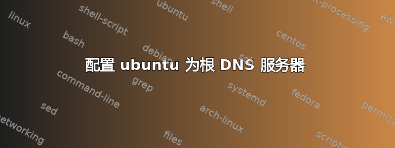 配置 ubuntu 为根 DNS 服务器