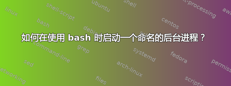 如何在使用 bash 时启动一个命名的后台进程？