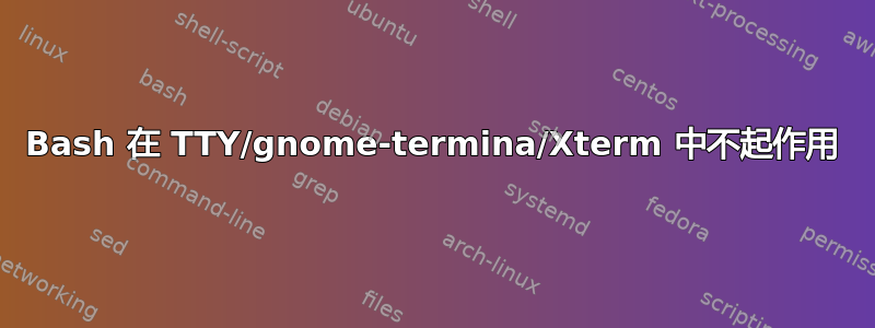 Bash 在 TTY/gnome-termina/Xterm 中不起作用