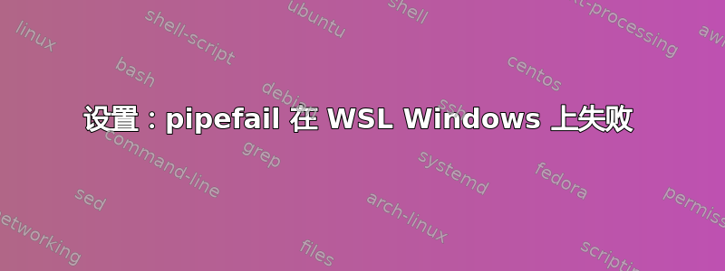 设置：pipefail 在 WSL Windows 上失败