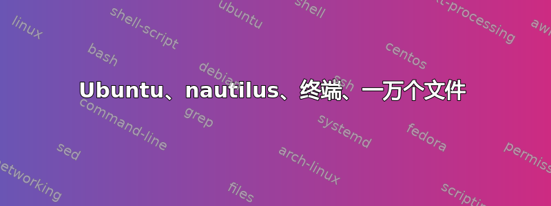 Ubuntu、nautilus、终端、一万个文件