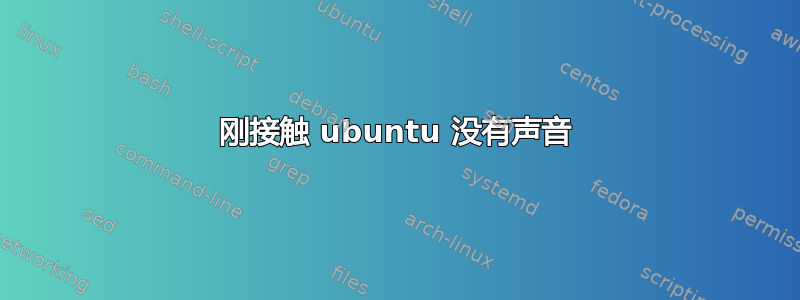 刚接触 ubuntu 没有声音