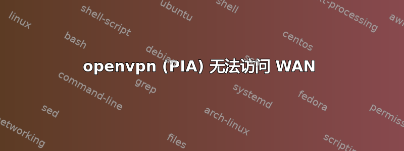 openvpn (PIA) 无法访问 WAN