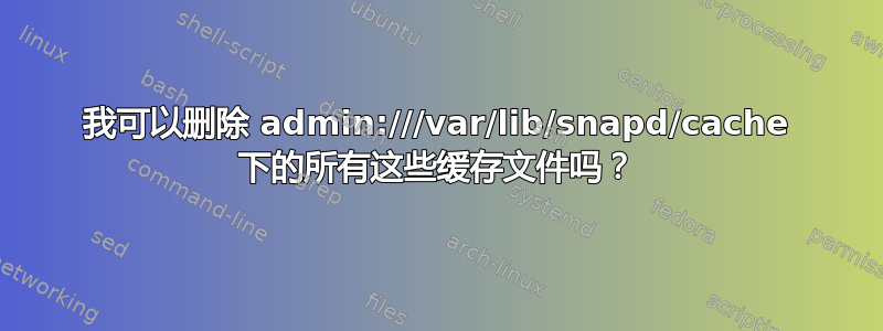 我可以删除 admin:///var/lib/snapd/cache 下的所有这些缓存文件吗？