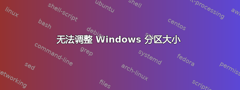 无法调整 Windows 分区大小