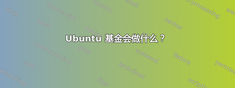 Ubuntu 基金会做什么？