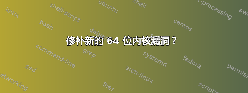 修补新的 64 位内核漏洞？