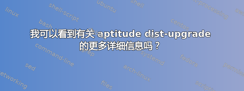 我可以看到有关 aptitude dist-upgrade 的更多详细信息吗？