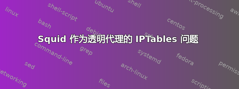 Squid 作为透明代理的 IPTables 问题