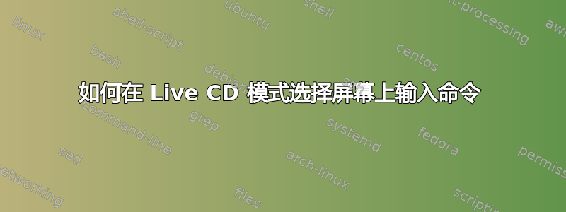 如何在 Live CD 模式选择屏幕上输入命令