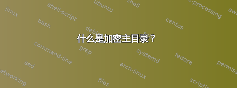 什么是加密主目录？