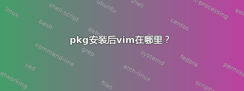 pkg安装后vim在哪里？