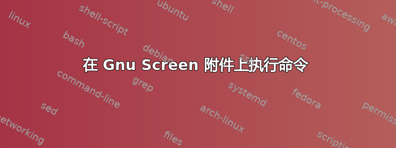 在 Gnu Screen 附件上执行命令