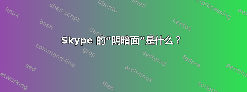 Skype 的“阴暗面”是什么？