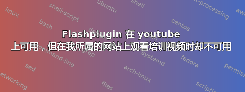 Flashplugin 在 youtube 上可用，但在我所属的网站上观看培训视频时却不可用