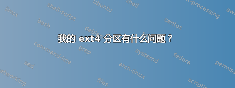 我的 ext4 分区有什么问题？