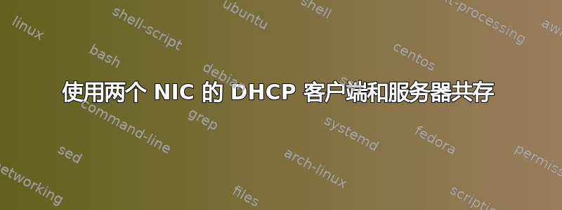 使用两个 NIC 的 DHCP 客户端和服务器共存