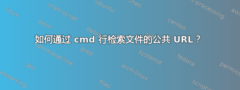 如何通过 cmd 行检索文件的公共 URL？