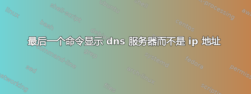 最后一个命令显示 dns 服务器而不是 ip 地址