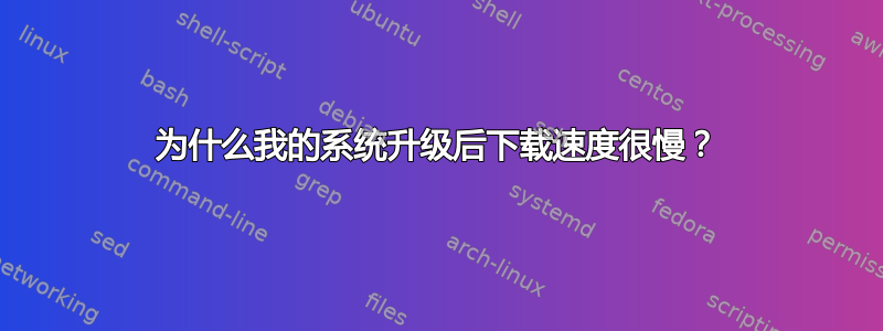 为什么我的系统升级后下载速度很慢？