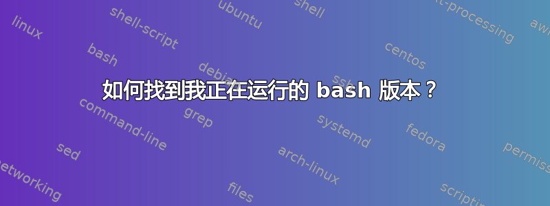 如何找到我正在运行的 bash 版本？