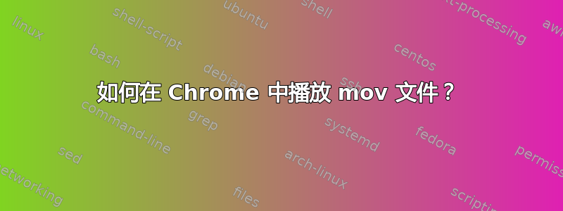 如何在 Chrome 中播放 mov 文件？