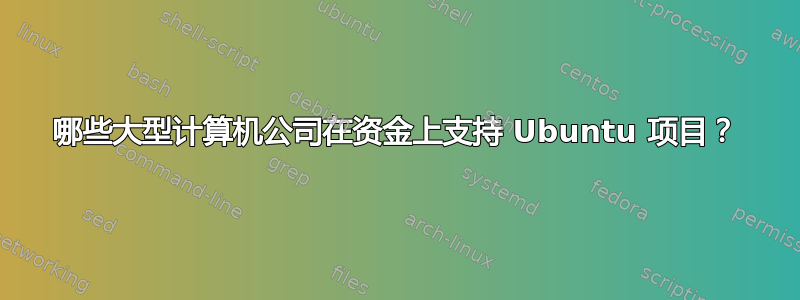 哪些大型计算机公司在资金上支持 Ubuntu 项目？