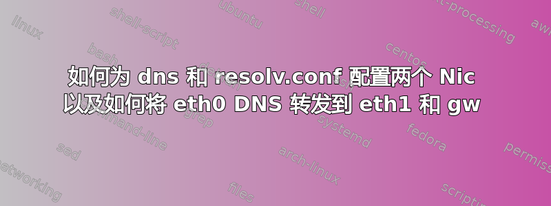 如何为 dns 和 resolv.conf 配置两个 Nic 以及如何将 eth0 DNS 转发到 eth1 和 gw