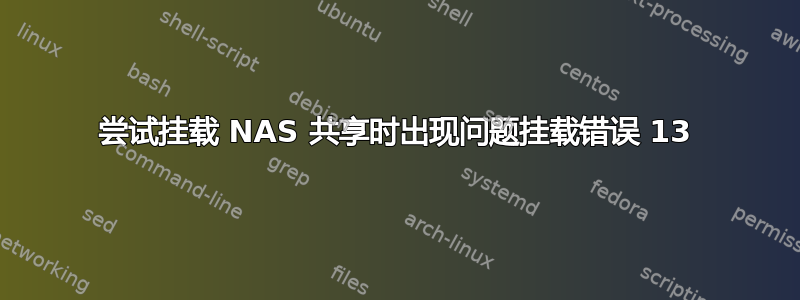 尝试挂载 NAS 共享时出现问题挂载错误 13