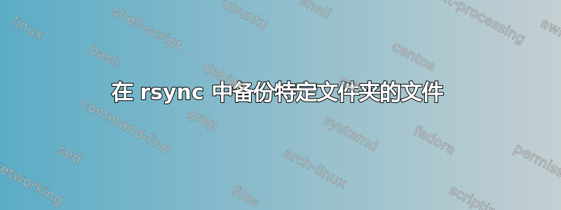 在 rsync 中备份特定文件夹的文件