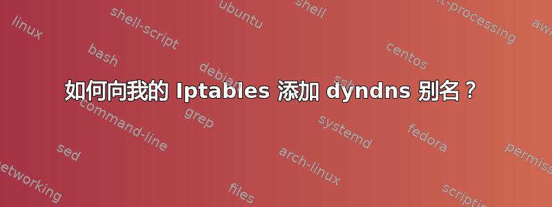 如何向我的 Iptables 添加 dyndns 别名？