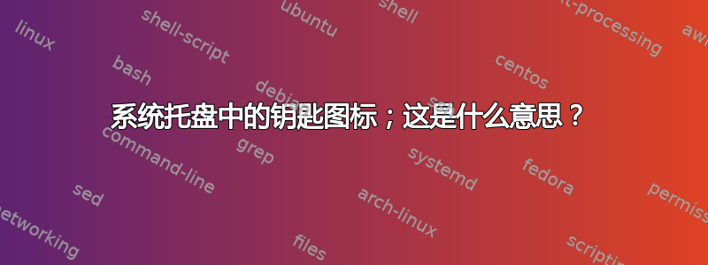 系统托盘中的钥匙图标；这是什么意思？