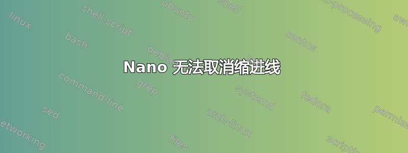 Nano 无法取消缩进线